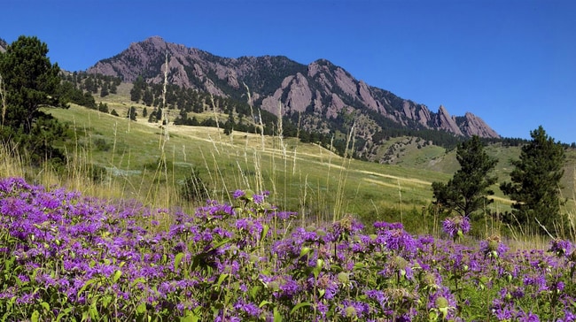Building Photo - (PRICE DROP) Beautiful & Large 4-Bd 2.5-Ba...
