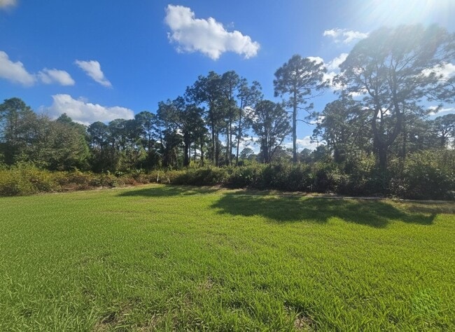 Building Photo - Brand new 4/2/2  House