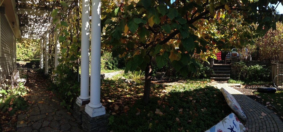 pergola with grapes over path to studio - 7 Revere St
