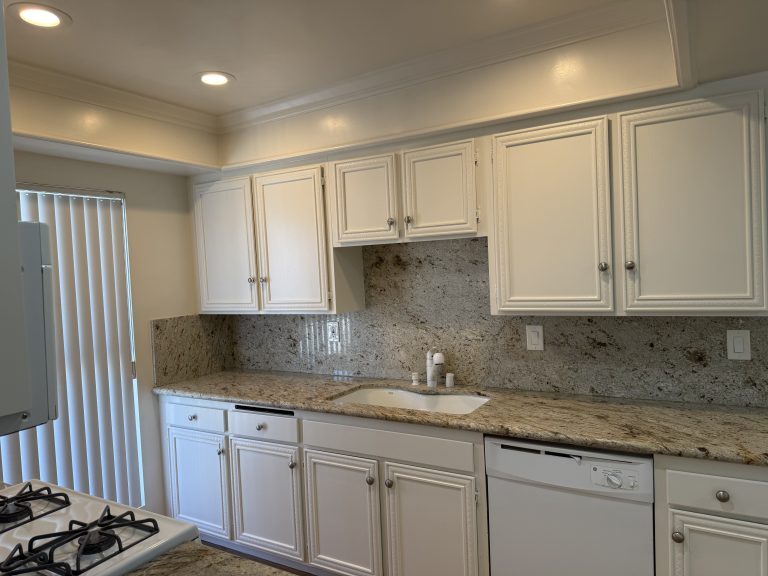 Apt #5: Kitchen with dishwasher - 321 E Dryden St