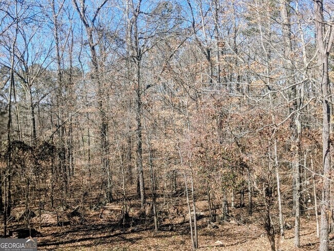 Building Photo - 161 Hancock Rd