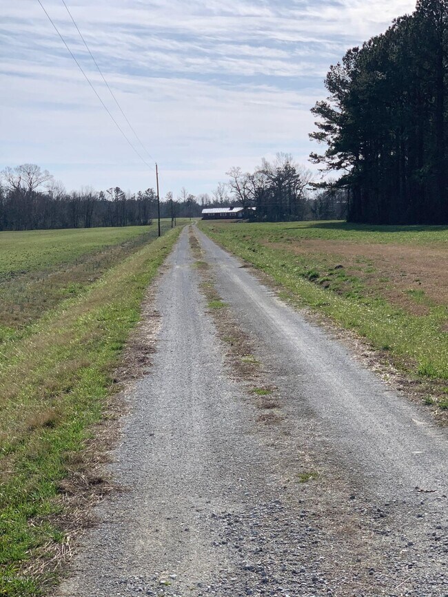 4559 White Oak River Rd 4559 White Oak River Rd Maysville NC 28555