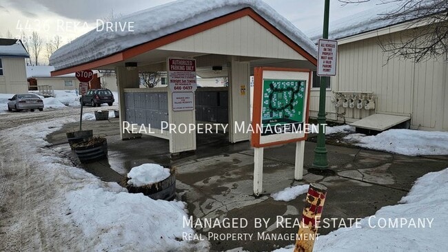 Building Photo - 4436 Reka Dr