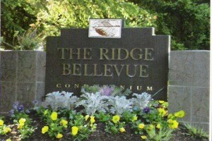 Located near 520 & 405 near downtown Bellevue, Redmond & Kirkland - 10418 Northeast 32nd Place