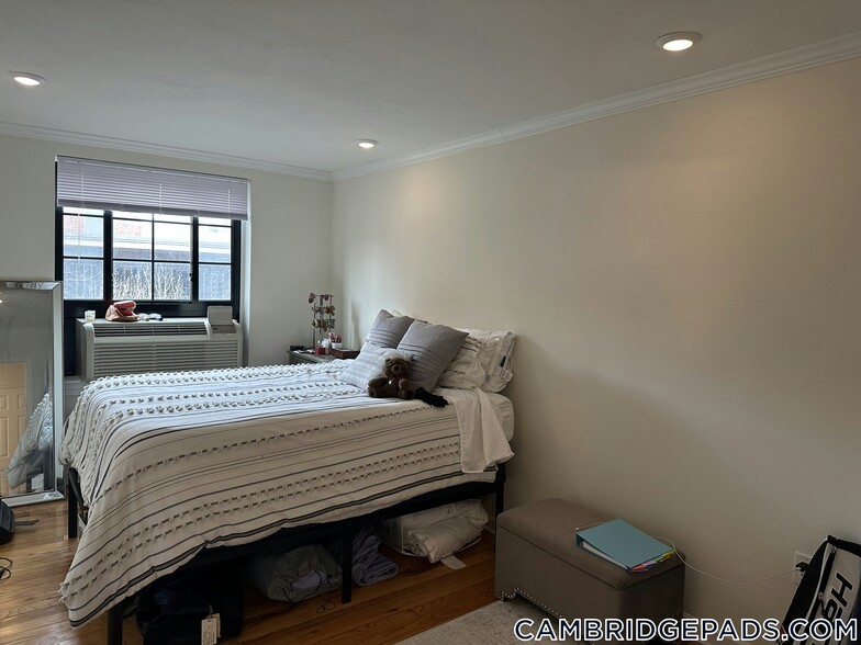 Building Photo - 60 Brattle St