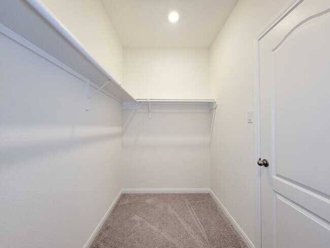 Building Photo - 2815 Lyra Ct