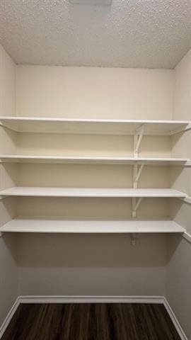 Building Photo - 2629 Salt Maker Way