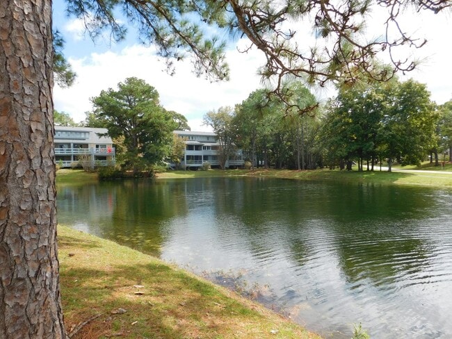 Building Photo - 1201 Harbourside Dr