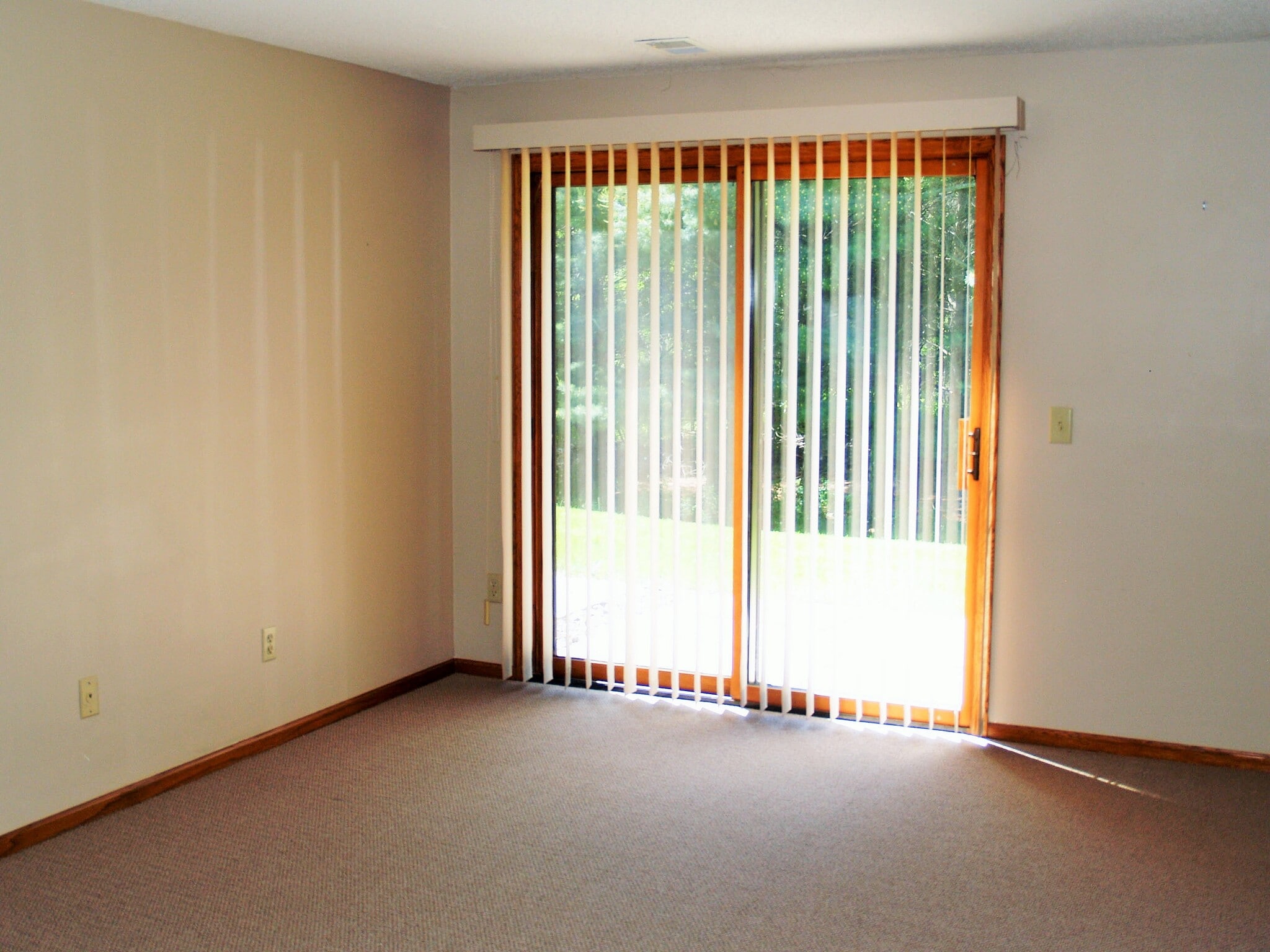 Downstairs patio walkout - 2002 Mesabi Ave