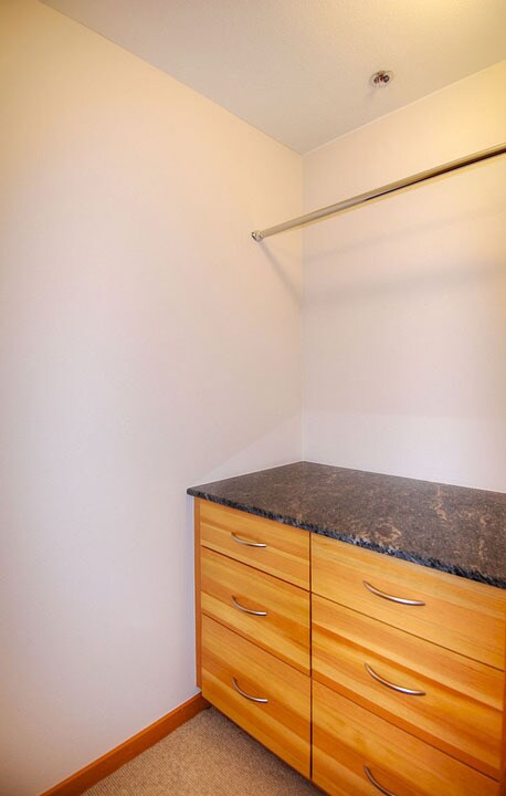 Primary Closet - 1760 N Northlake Way