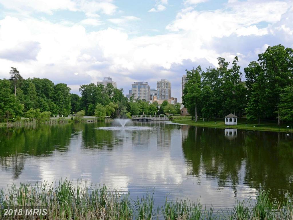 Building Photo - 1701 Lake Shore Crest Dr