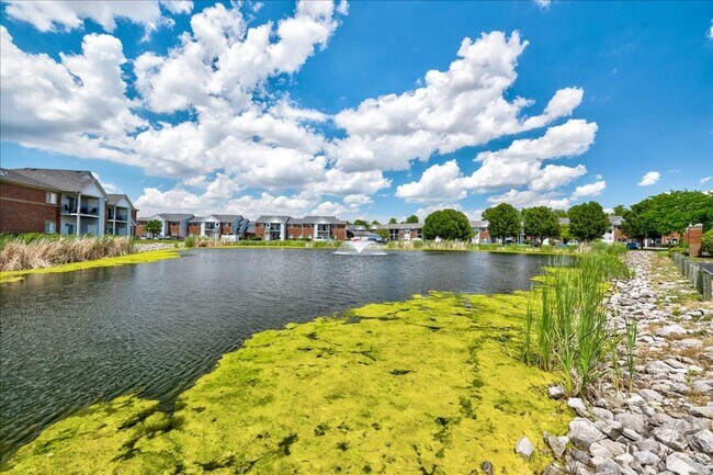 Building Photo - **Swimming Pool*****1 Bed 1 Bath******Cross Pointe Business Park*****LAKE VIEW AVAILABLE