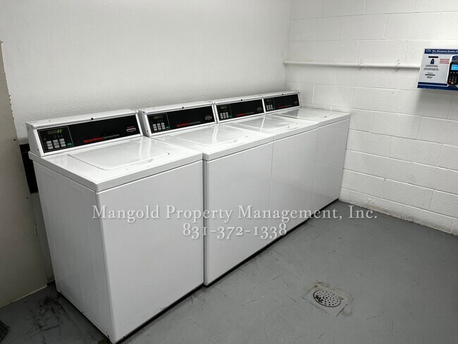 Building Photo - Newly Remodeled Downstairs Two Bedroom Condo