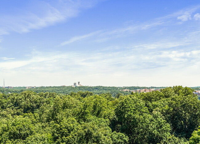 Rooftop View - 2030 N Adams St