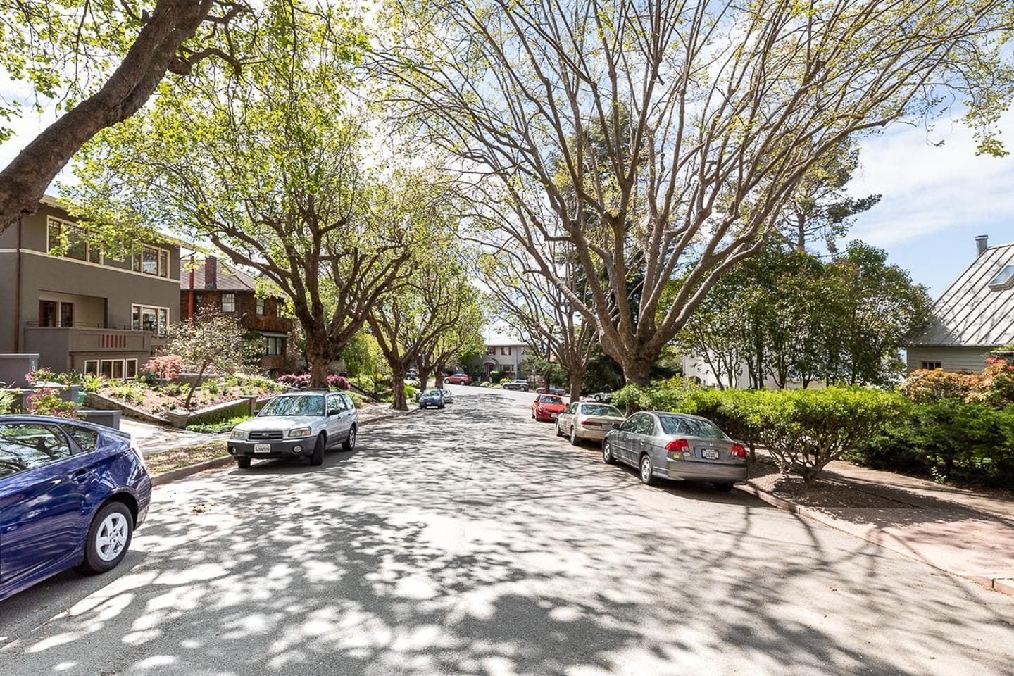 Building Photo - Large North Berkeley gem
