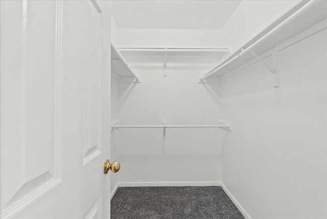 Building Photo - 2107 Roatan Calle