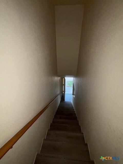 Building Photo - 4302 Mattie Dr