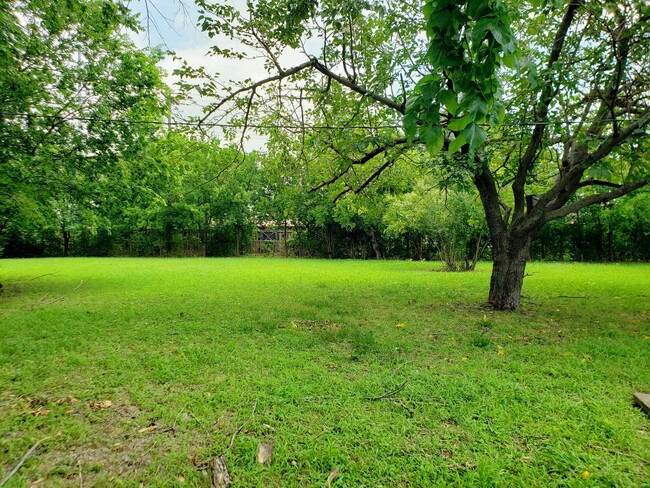 Building Photo - Great 3/2 Single Family Home in Casa Linda