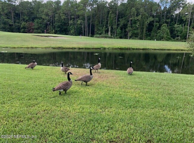 Building Photo - 925 Lotus Ln S