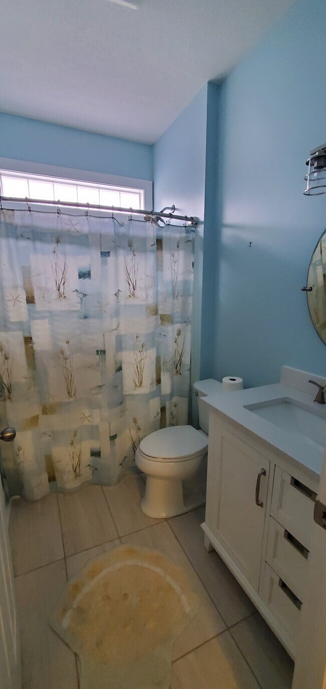 Hall bathroom - 1028 Cherry Tree Ln