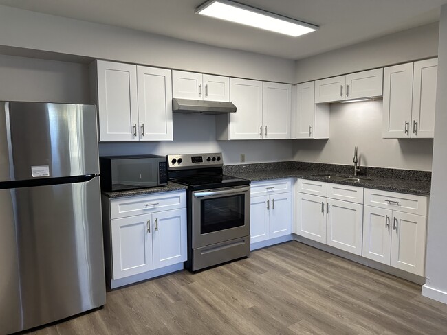 Renovated Kitchen - 2457 Fielding Court