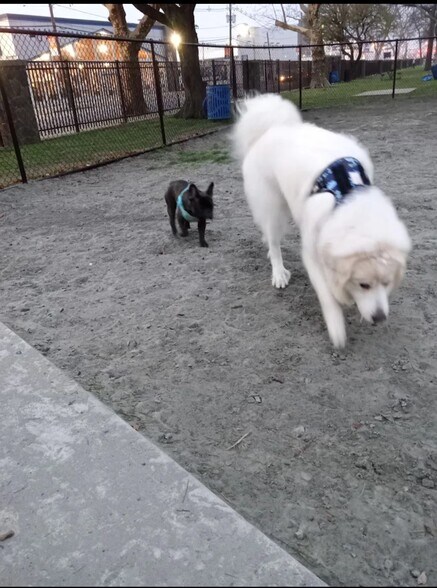 Building Photo - 189 Belvidere Ave