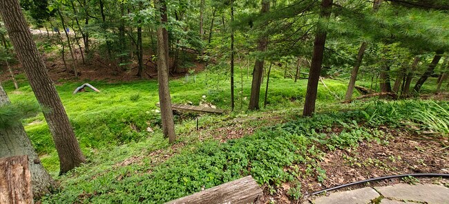 Building Photo - 13 The Woods NE