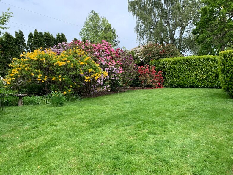 Old-Growth Azaleas - 8535 SW 58th Ave