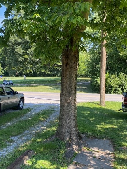 View from front porch - 2611 E Troy Ave