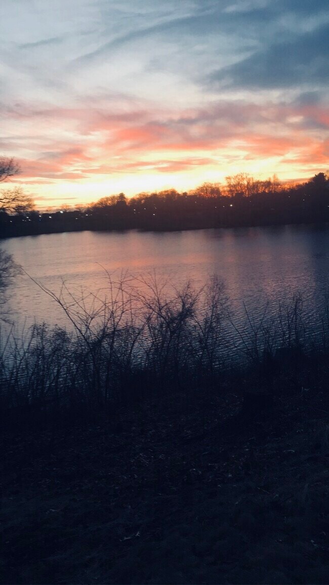 Building Photo - 252 Arcadia Blvd