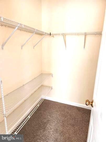 Building Photo - 12102 Wallower Way