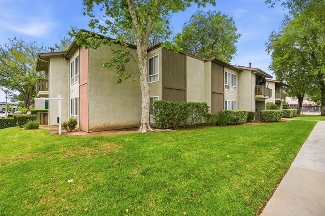 Building Photo - 2536 White Oak Pl