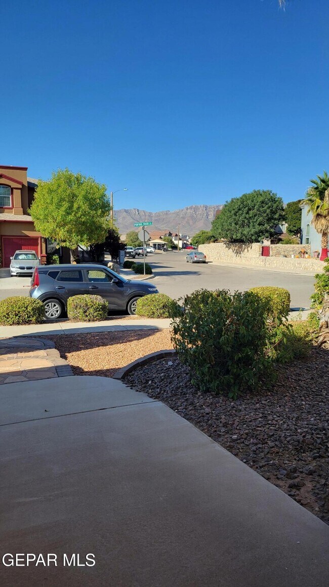 Building Photo - 11512 Porfirio Payan Dr