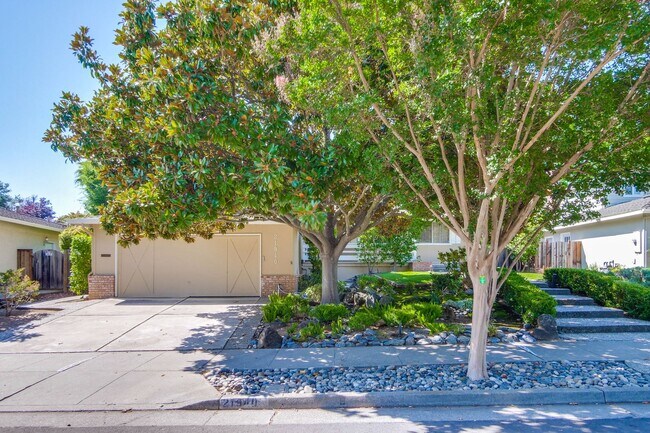 Building Photo - Large Landscaped Backyard! Fruit Trees