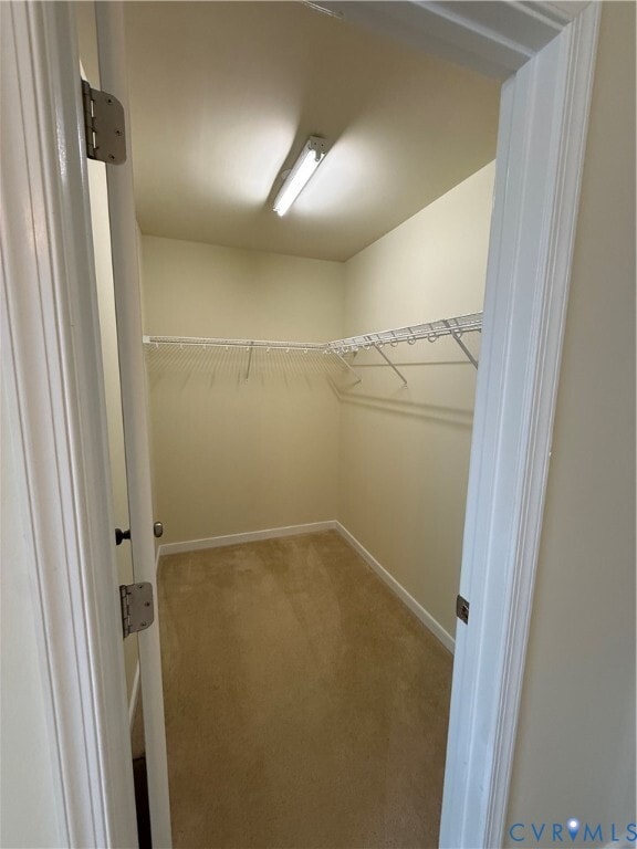 Building Photo - 512 Paddle Creek Dr