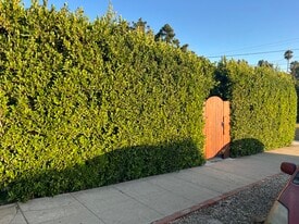 Building Photo - 1618 Micheltorena St