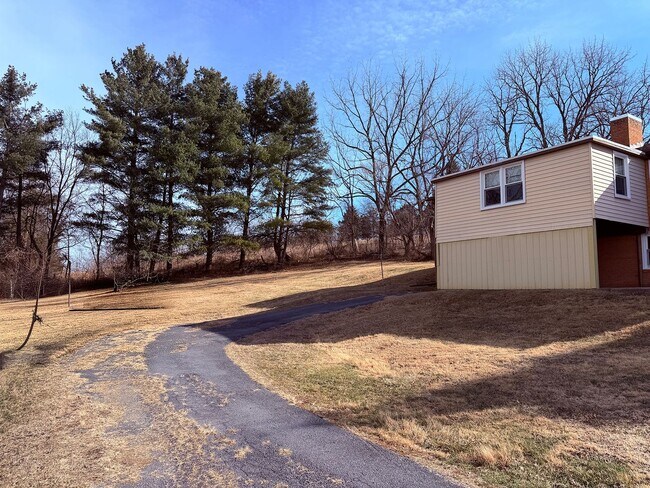 Building Photo - Charming Country Home with Spacious Yard & Mountain Views – Singers Glen, VA