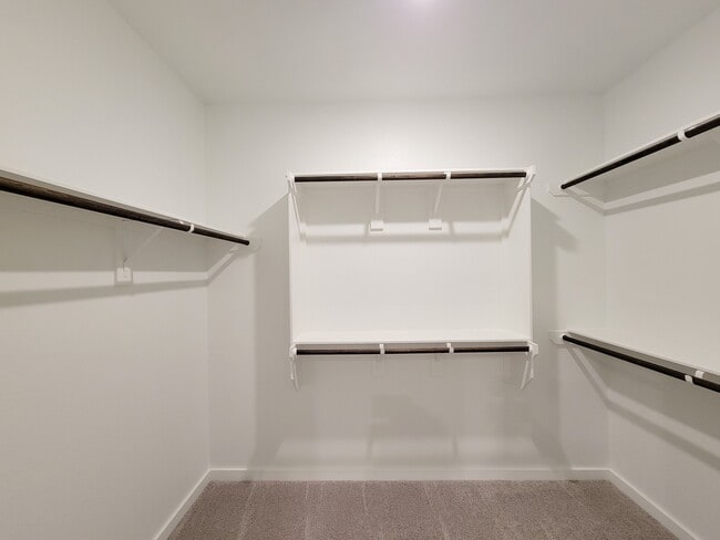 Building Photo - 2905 Terrace Grove Dr