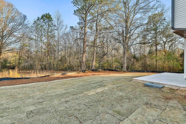 Building Photo - New Construction Rental WALKABLE to Downtown Senoia!