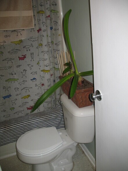 Building Photo - 431 3rd St