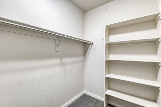 Building Photo - Bright Contemporary 3 Bedroom 2 Bath - August 1st!