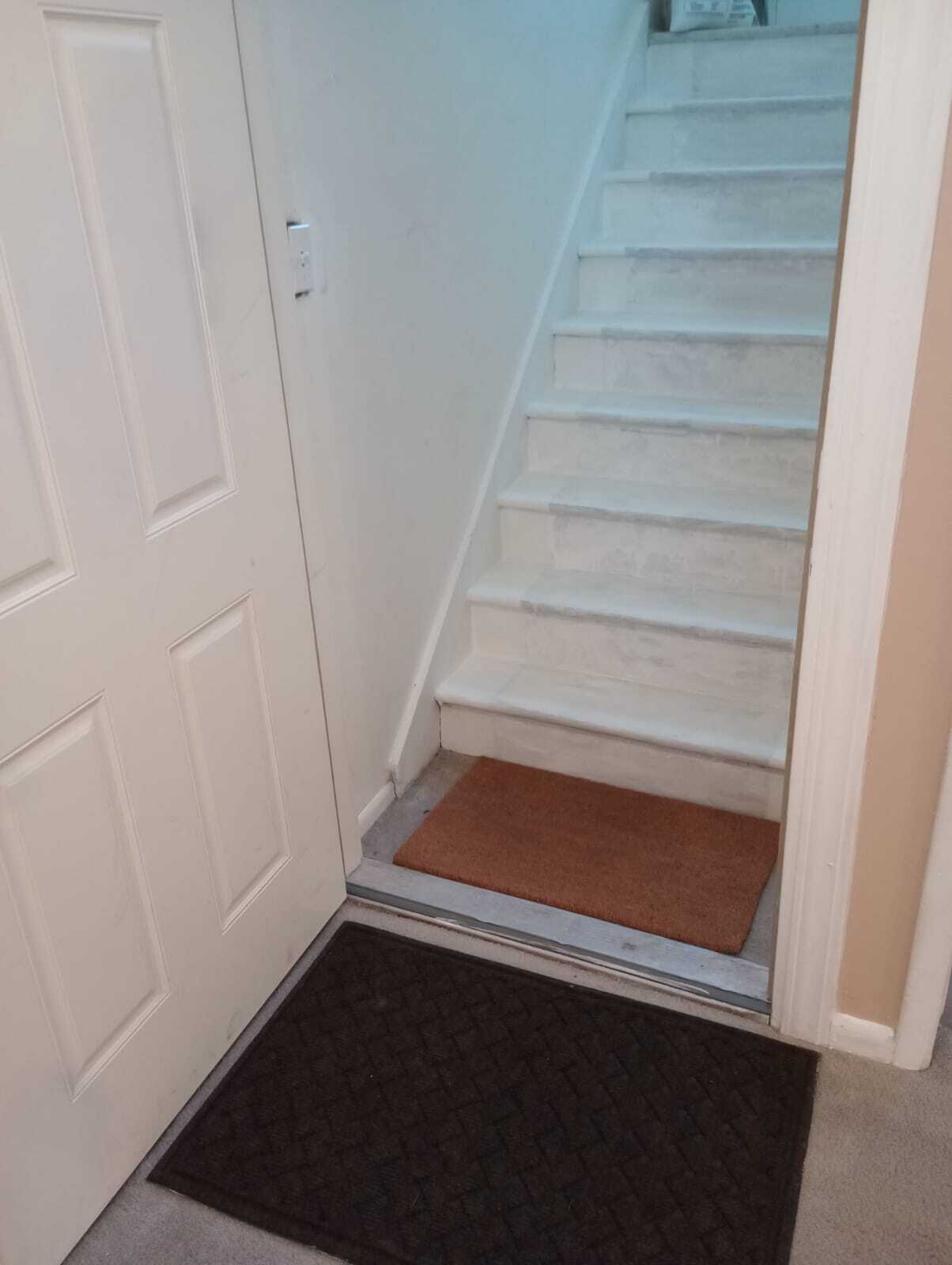 Entry stairway - 5655 W Ellsworth Ave