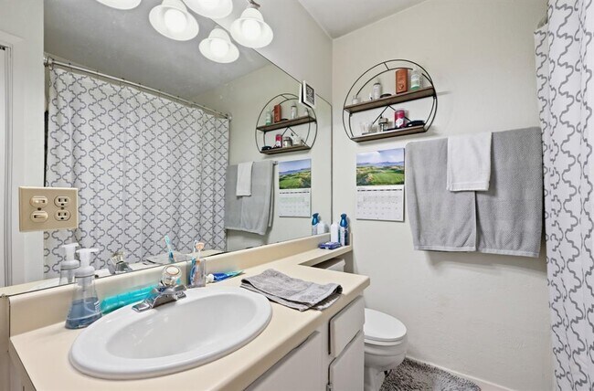 Building Photo - 11728 Norwegian Wood Dr
