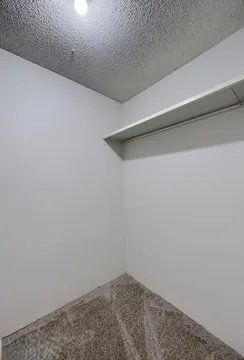 Building Photo - 341 Greenland Dr