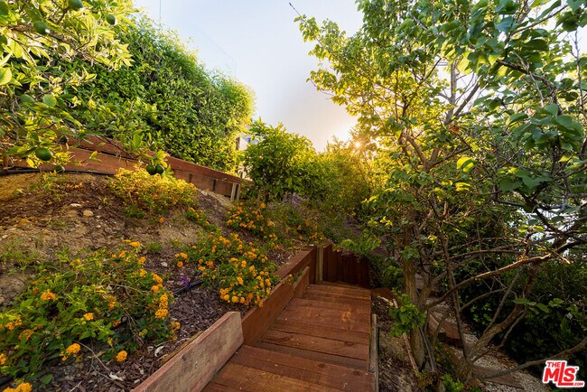 Building Photo - 3116 Elvido Dr