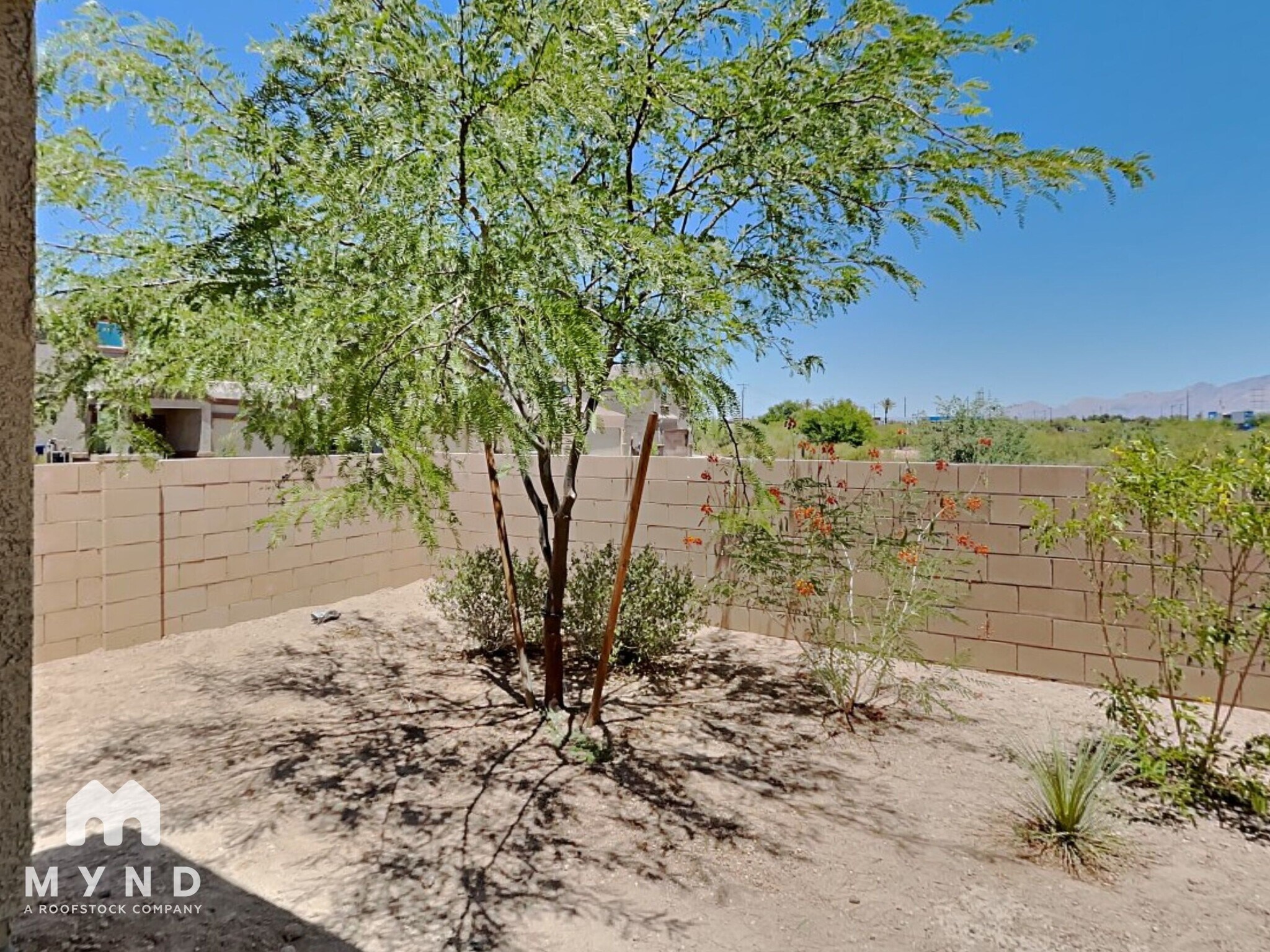 Building Photo - 2549 Calle Palta