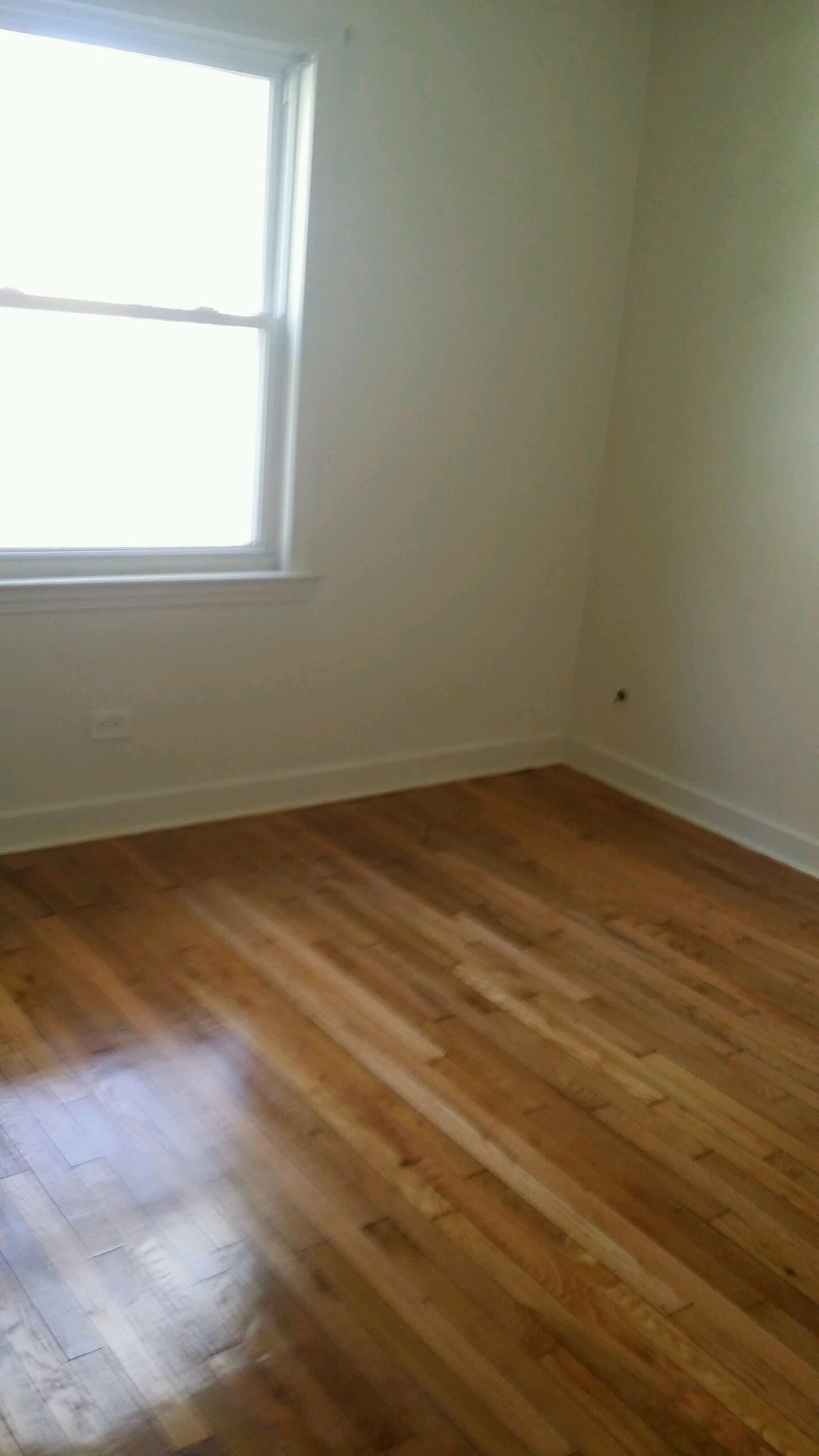 Building Photo - 851 E 84th St