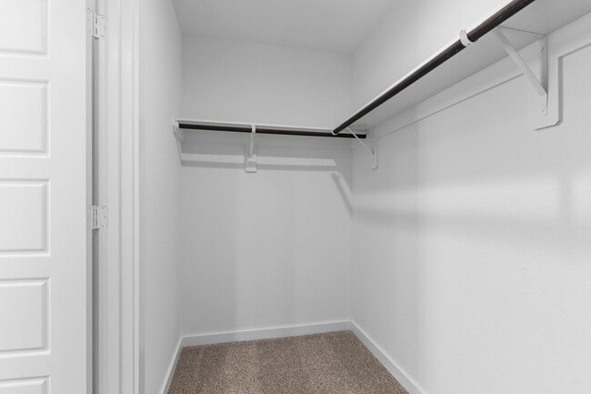 Building Photo - 12236 City Rose Ct