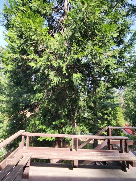 Building Photo - 865 Bear Springs Rd