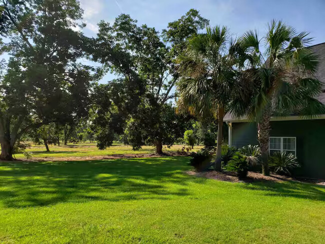 Building Photo - 145 Longleaf Dr